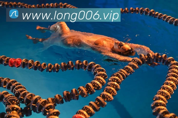 龙8-long8(国际)官方网站品牌故事